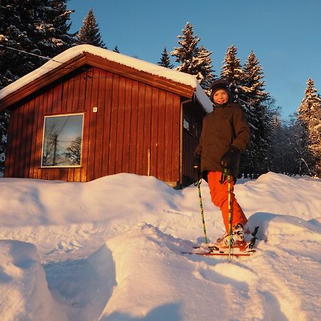 Cabin With Great View Close To Town And Ski Area Lillehammer Exteriör bild