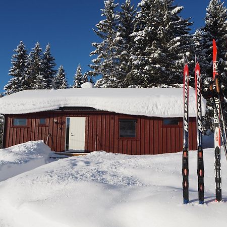 Cabin With Great View Close To Town And Ski Area Lillehammer Exteriör bild